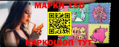 шишки Лесосибирск