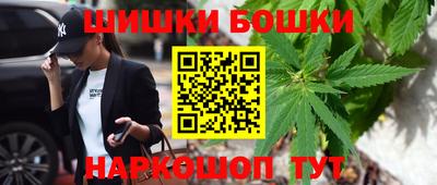 шишки Лесосибирск