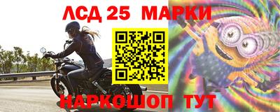 шишки Лесосибирск
